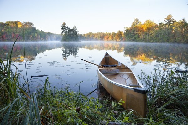 What Are the Best Strategies for Keeping Your Pet Calm During Moving Day?